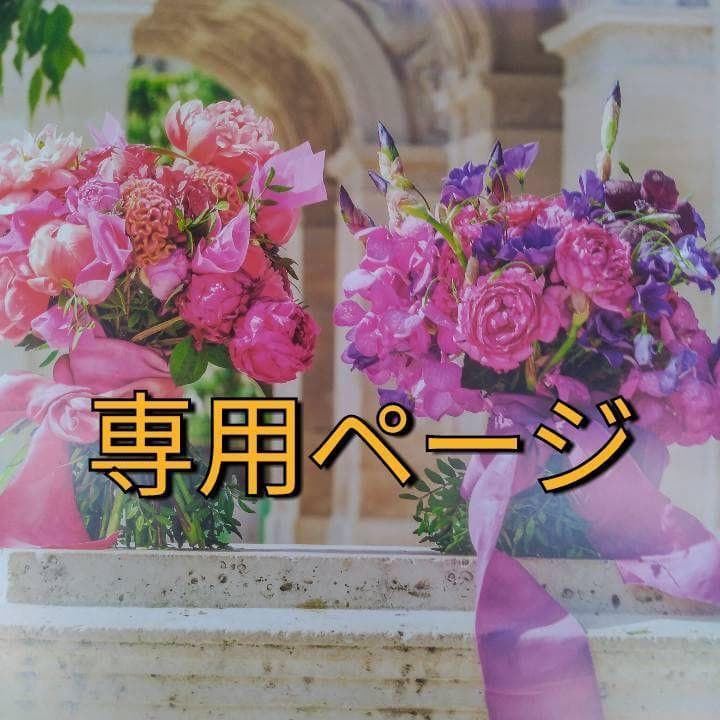 のりごん（感謝）/5