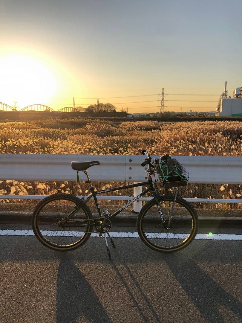 KUWAHARA BMX SURVIVOR 24 4th lot Candy別注