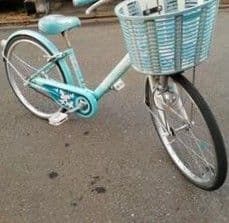 ブリヂストン子供用自転車　22インチ　エコパル
