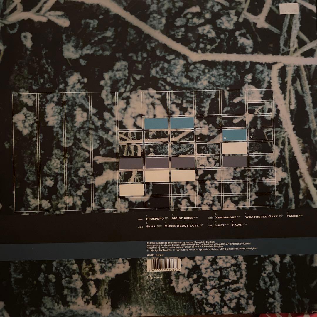 洋楽 Locust Weathered Well 2LP