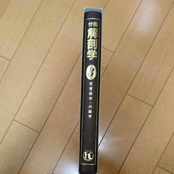 分担解剖学3