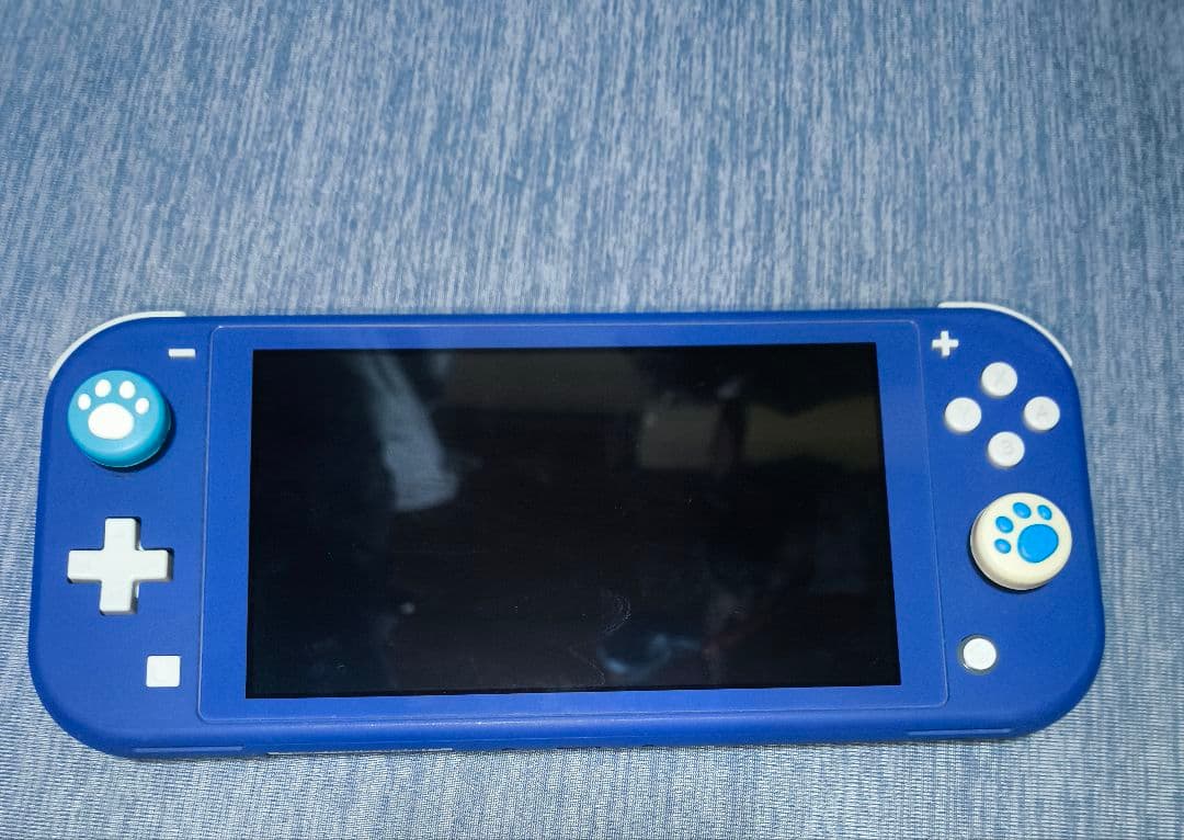 Nintendo Switch Lite 青 本体 充電器・ケース付き