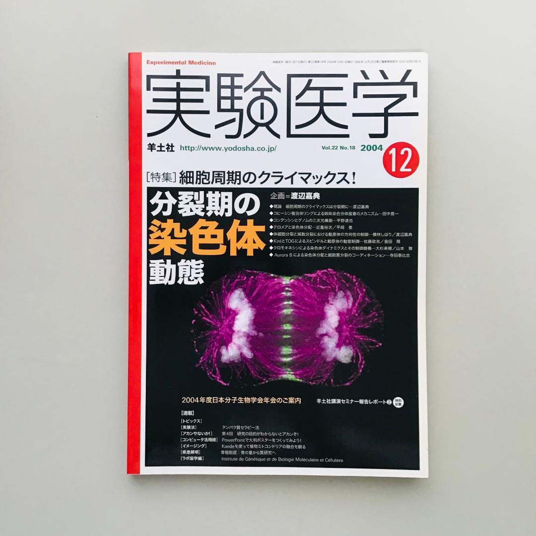 実験医学 2004年 1年分 14冊セット