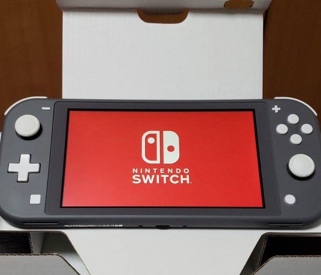 【美品】Nintendo Switch Lite グレー