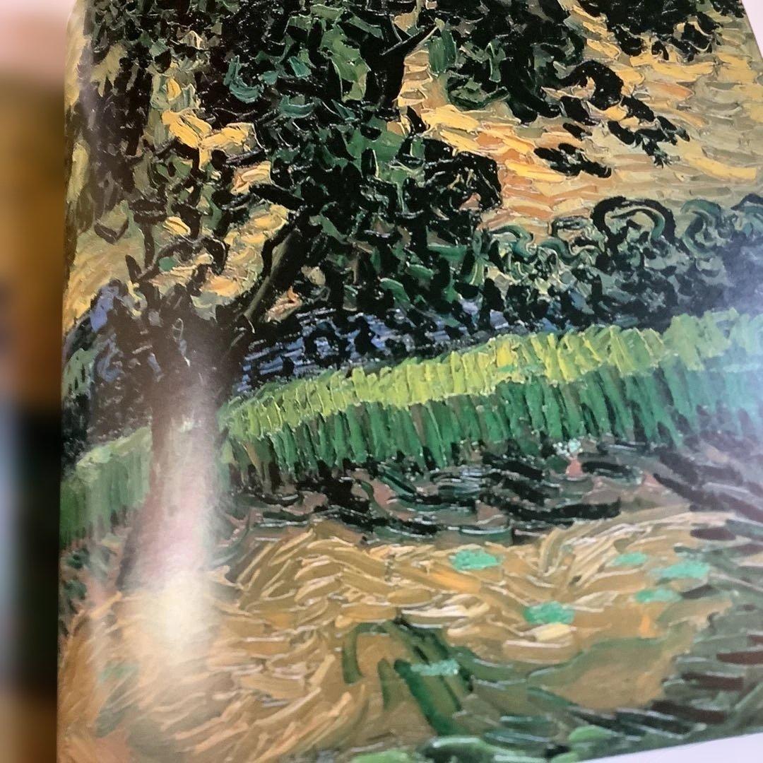 VAN GOGH IN SAINT-RÉMY AND AUVERS