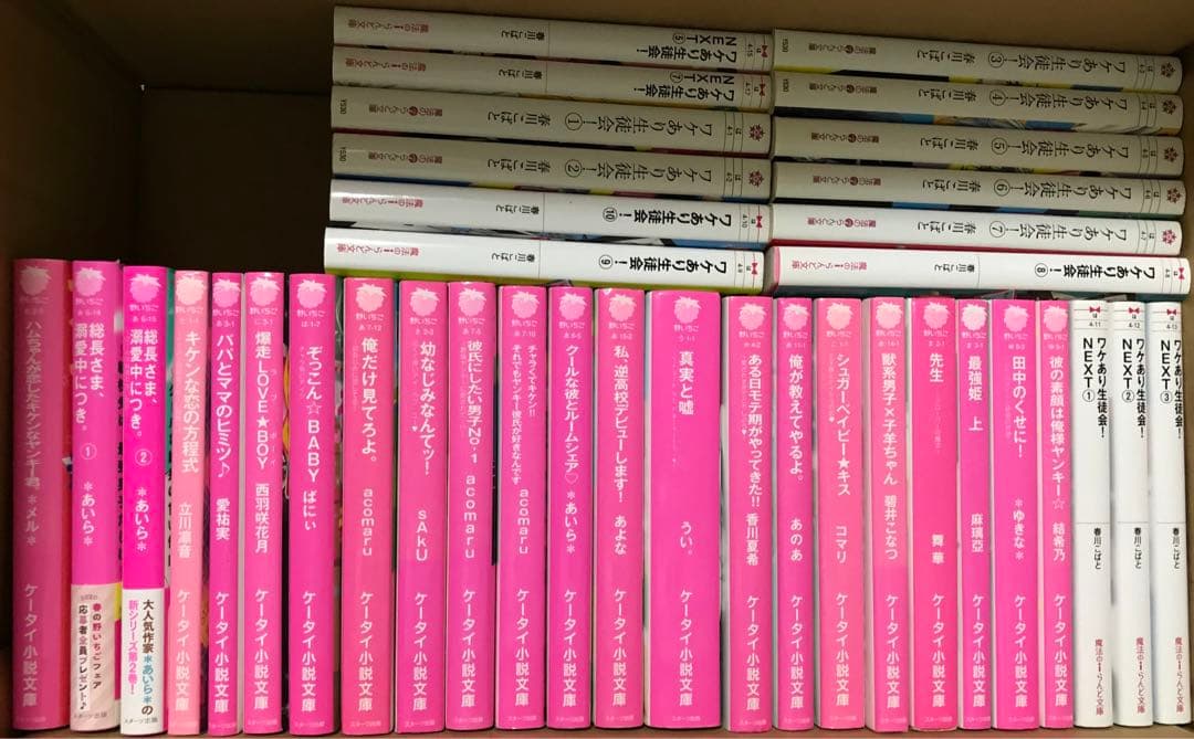 小説セット  野いちご