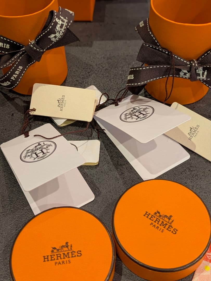 【希少】HERMES ツイリー ジャングルラブレインボープリュムティ 2本セット