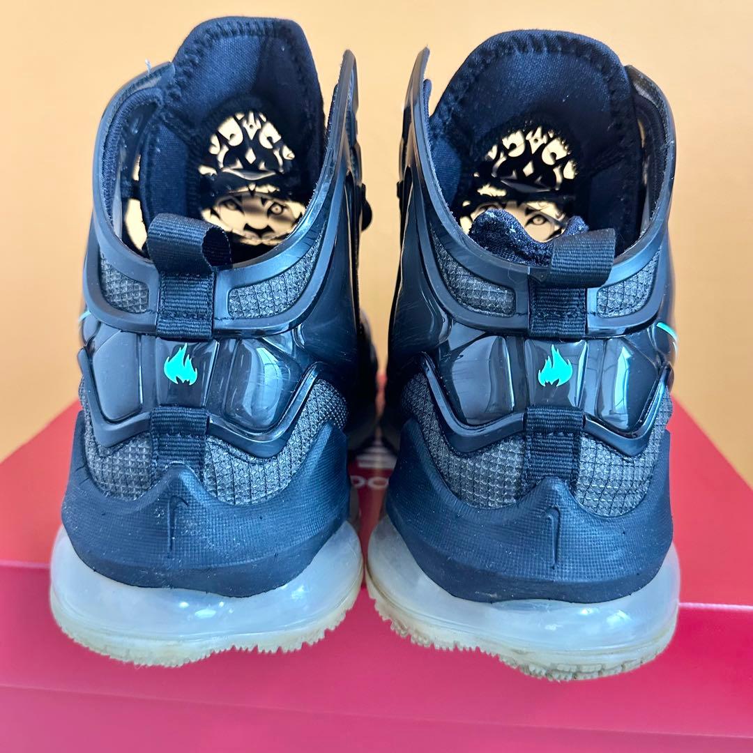 Nike LeBron 19 NIKE ナイキ　レブロン　27cm