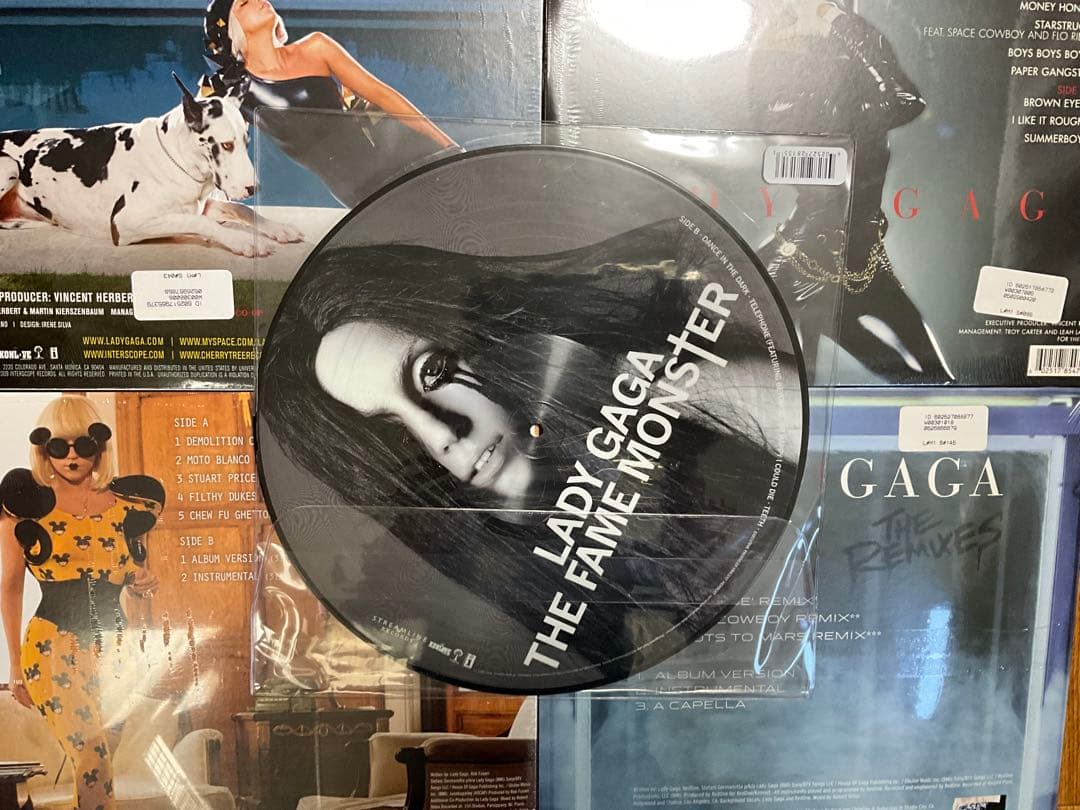 希少⭐️LADY GAGA⭐️レディーガガ⭐️レコード⭐️5枚セット