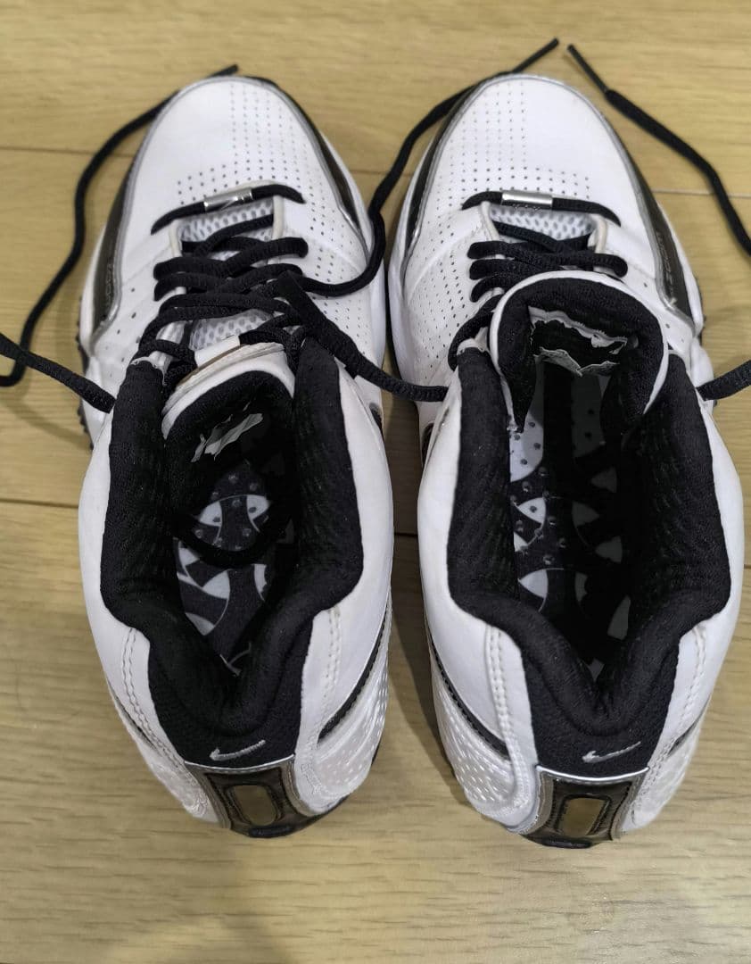 NIKE エアズームブレイブ2 25cm