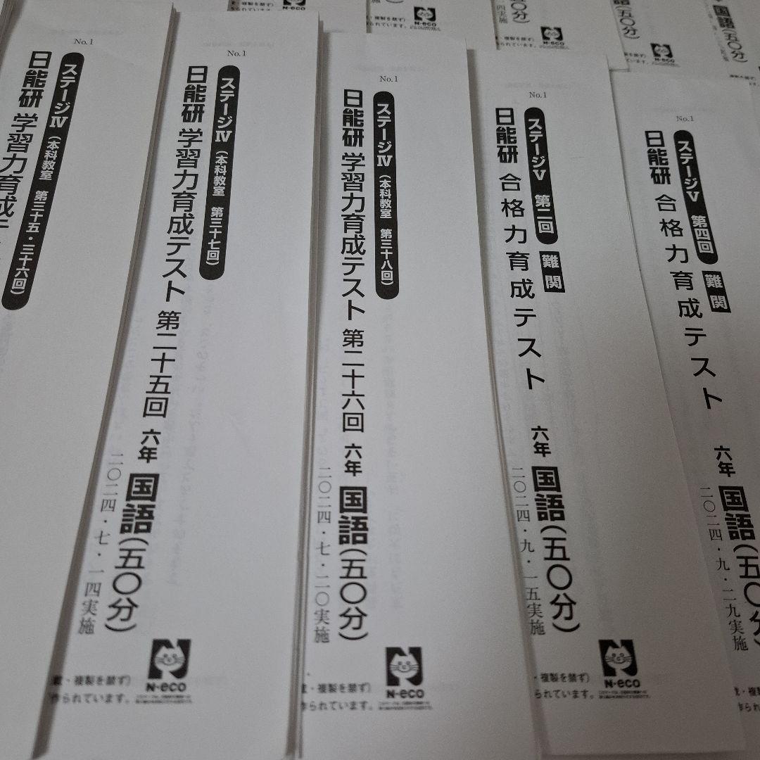 日能研　6年生　2024年度　学習力育成テスト　合格力育成テスト　【難関】