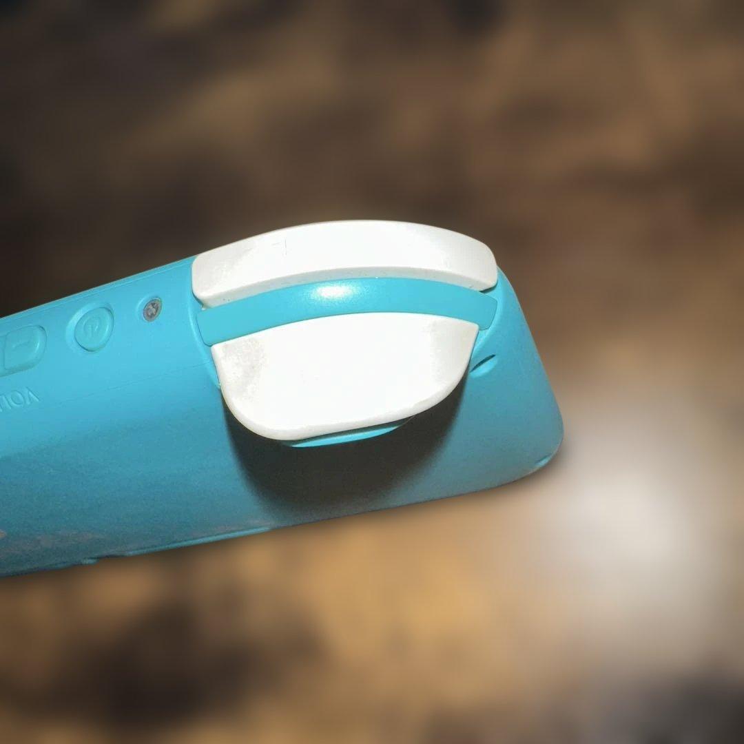 Nintendo Switch Lite ターコイズ SDカード ケース付
