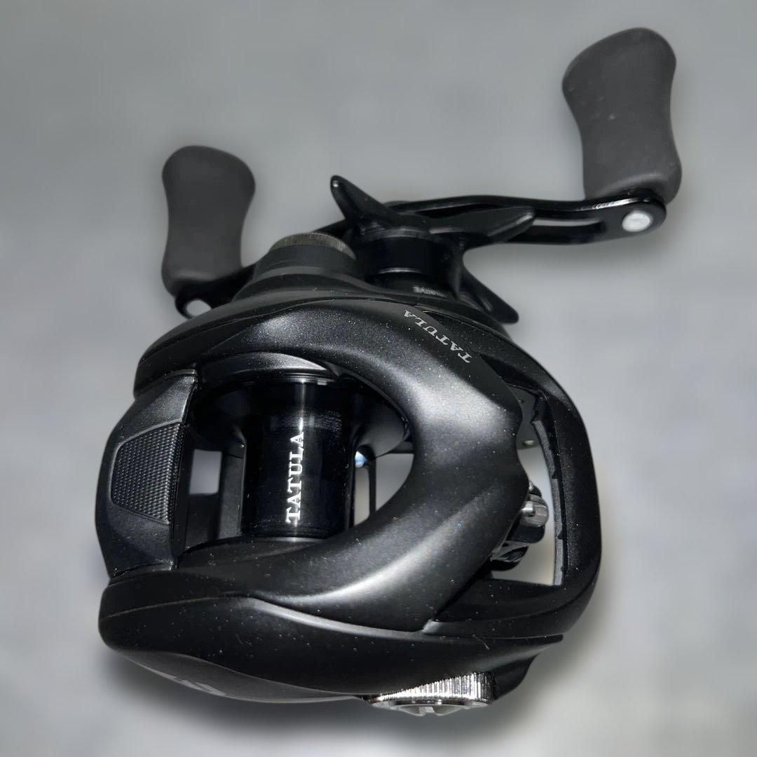 ダイワ　24TATULA TW100HL