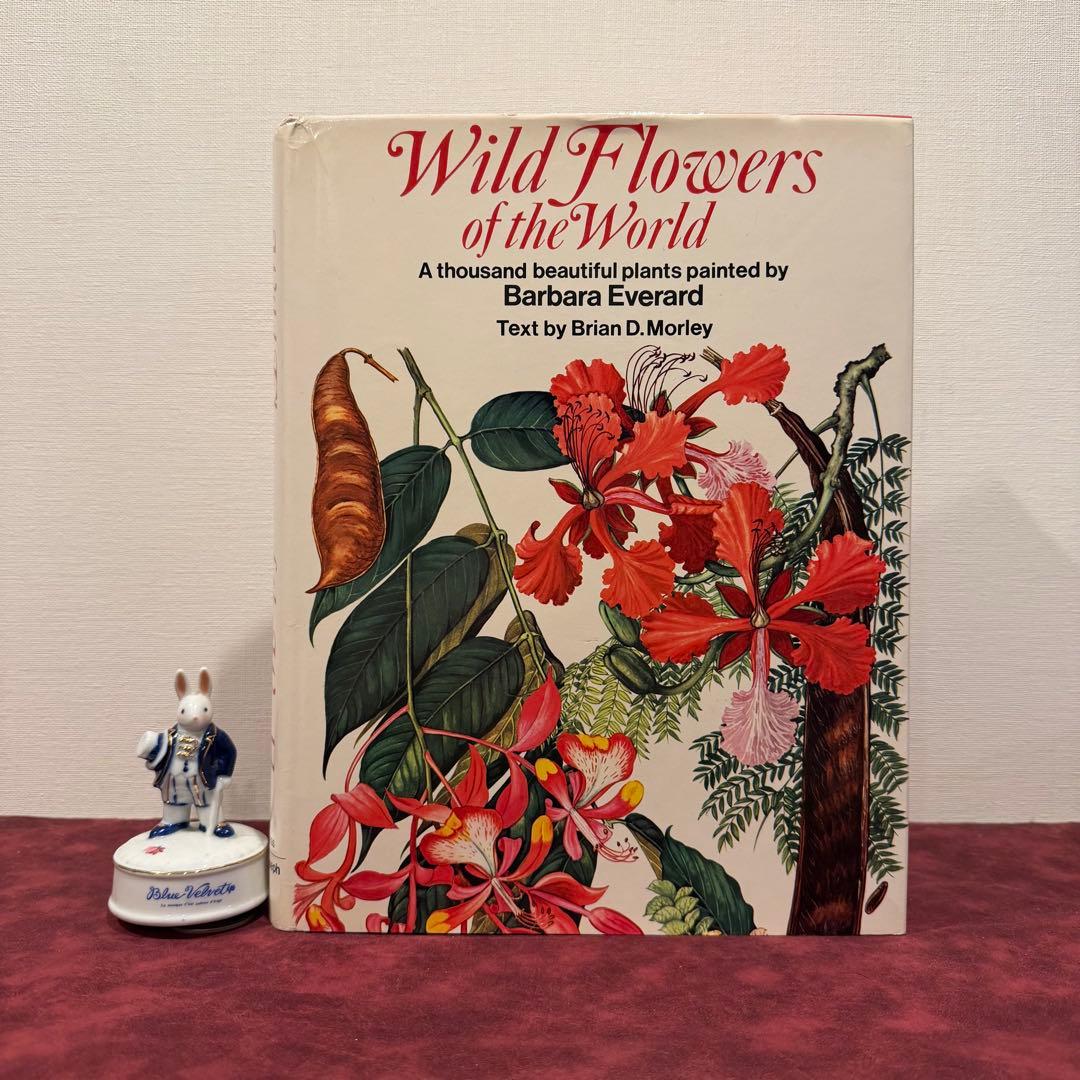 1210B⑩1970年初版植物図鑑　ジャンクジャーナル　ボタンニカル　洋書古書
