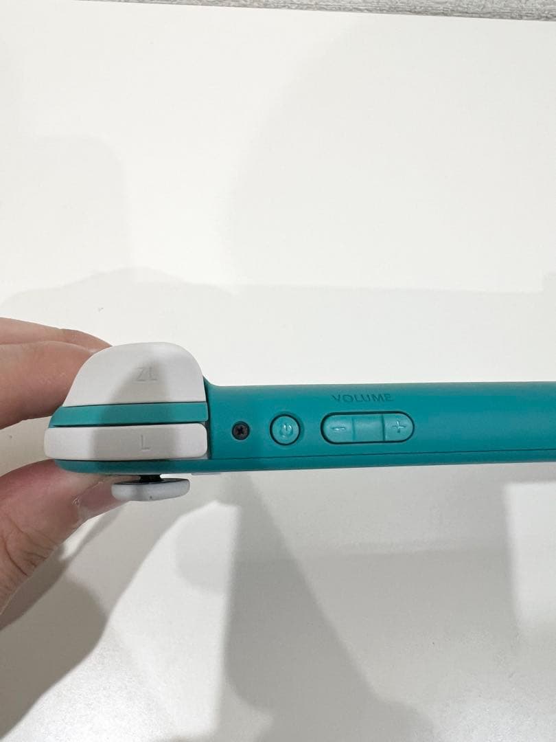 Nintendo Switch Lite 本体 充電ケーブル、ケース付