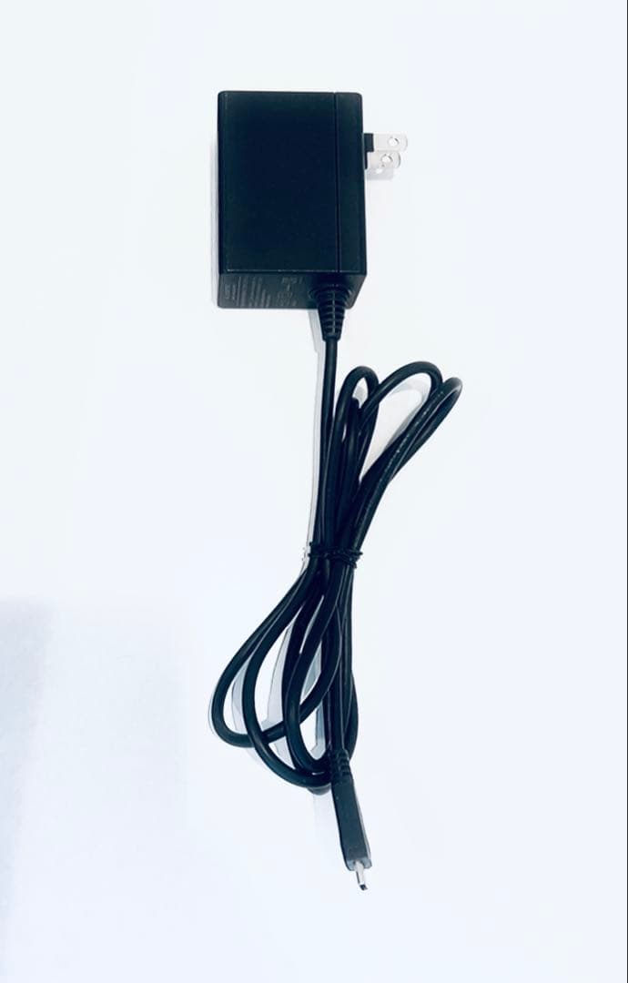 Nintendo Switch 本体グレー　コントローラー充電器付きジャンク
