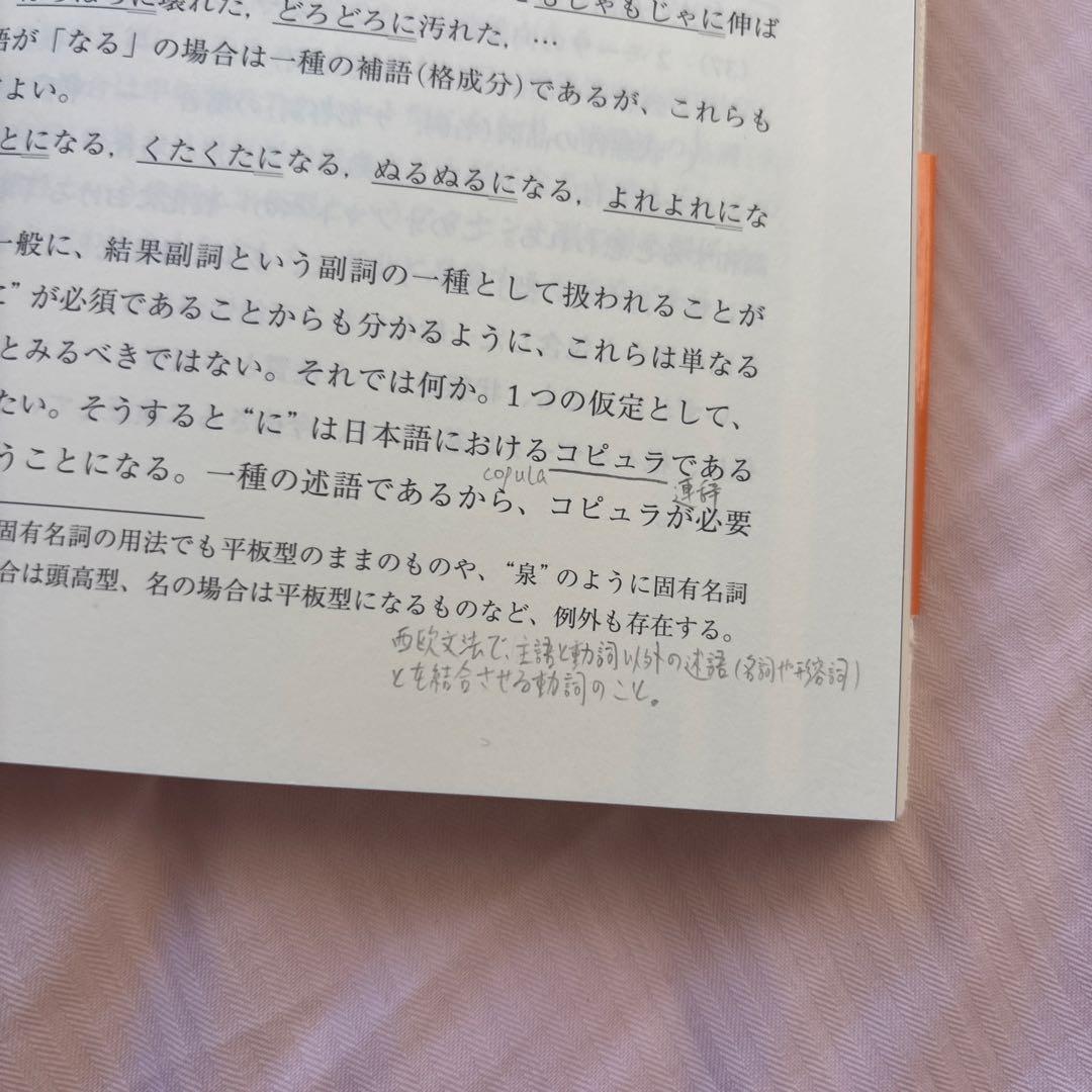 日本語研究のインターフェイス(帯付き) 著者: 三宅知宏　絶版本