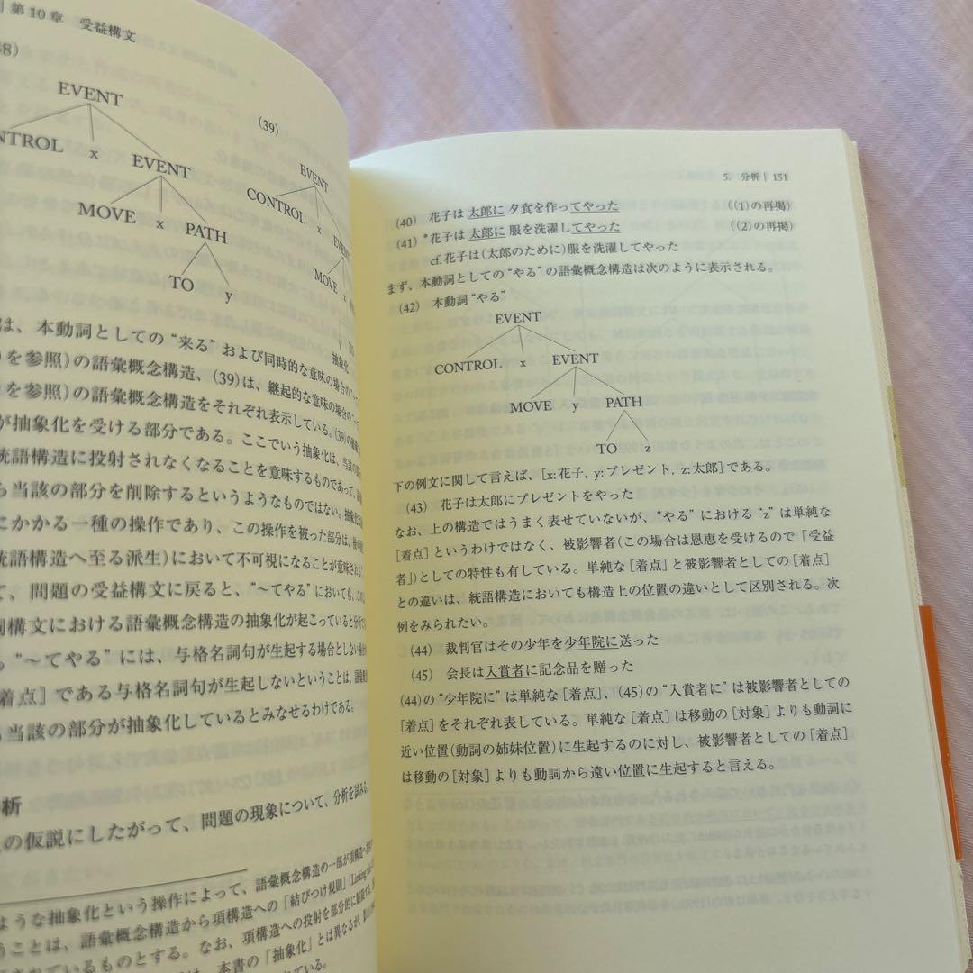 日本語研究のインターフェイス(帯付き) 著者: 三宅知宏　絶版本