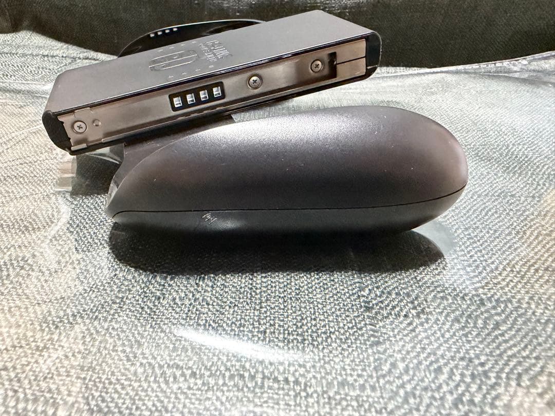 Nintendo Switch あつまれ どうぶつの森セット　ソフトなし