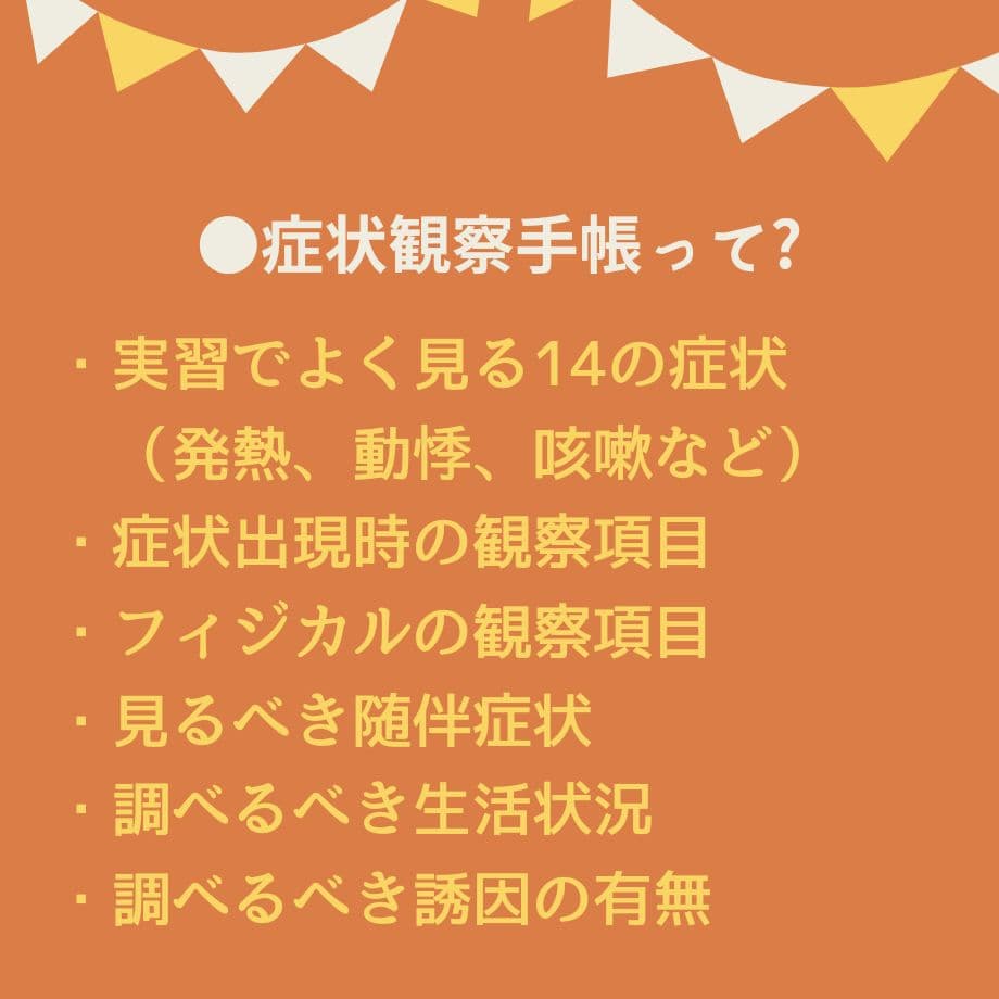 【アセスメントも！個別性も！】看護実習まるごとセット★実習メモ★計画★目標など