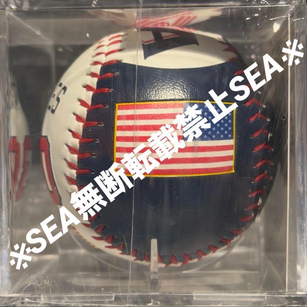 超激レア　WBC アメリカ代表 スキーンズ 記念ボール（No.28/30）即完売