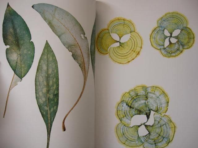 Nick Knight　Flora