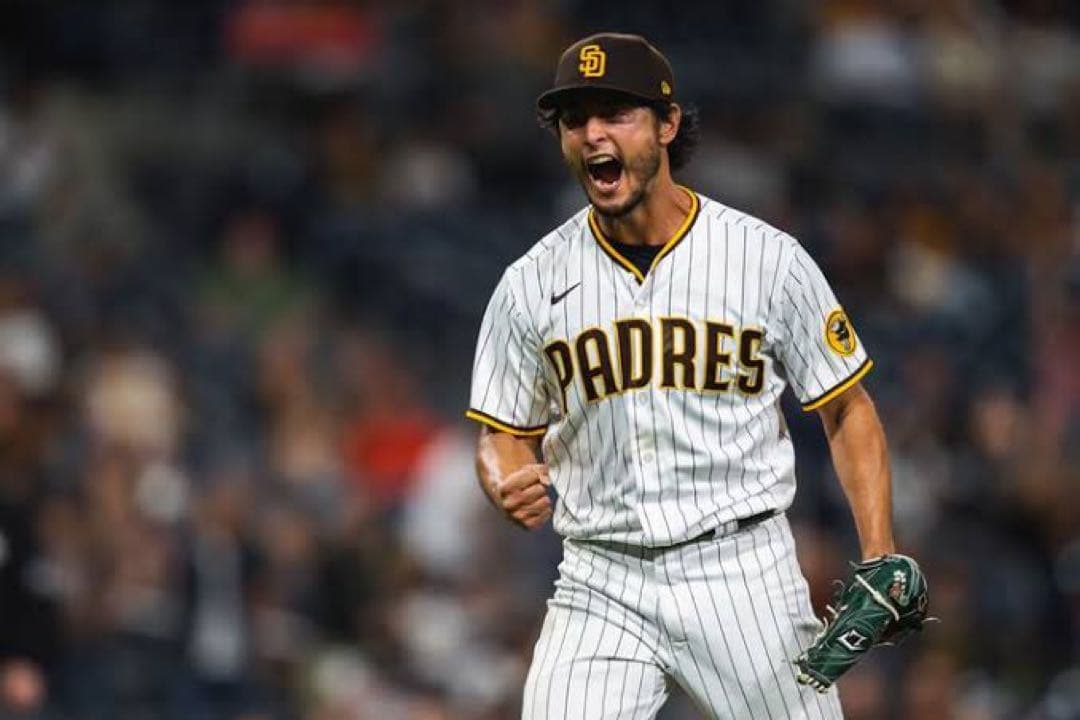 【正規品】ダルビッシュ MLB 公式リミテッドプレイヤージャージ L