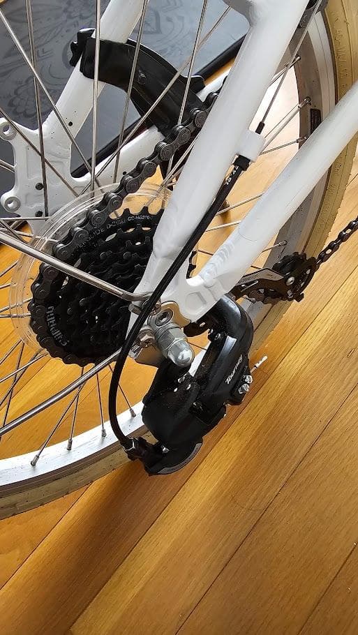 LOUIS GARNEAU ルイガノ EASEL7.0 ミニベロ 20インチ