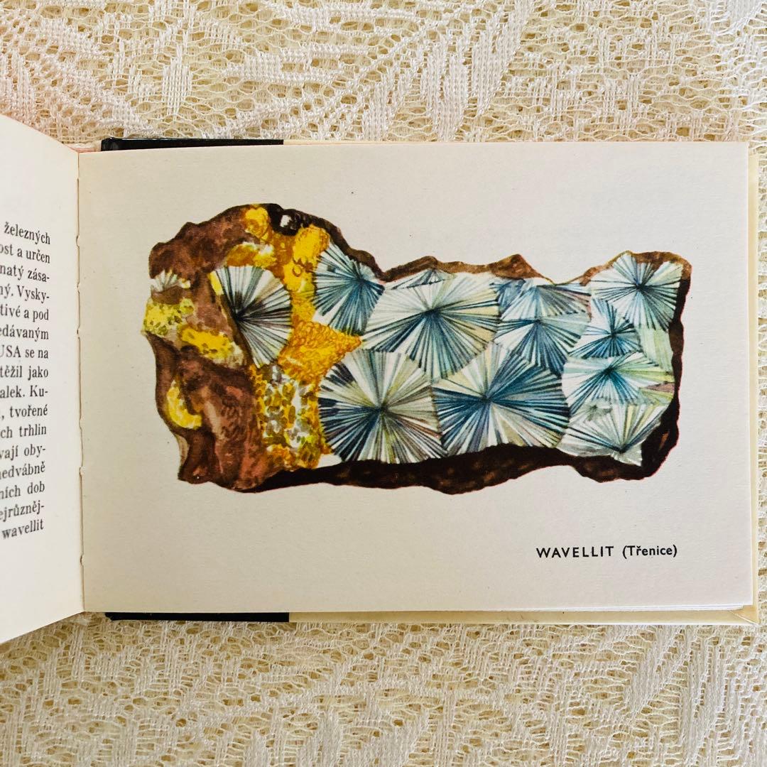 洋書　古書　チェコ語の鉱物図鑑　豊富なカラーイラスト♡　ヴィンテージ