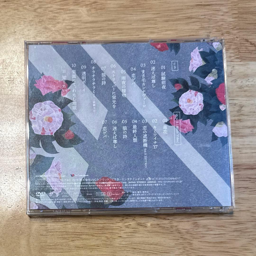 【初回限定盤(CD+DVD) 帯付き】 若気ガイタル 新しい学校のリーダーズ
