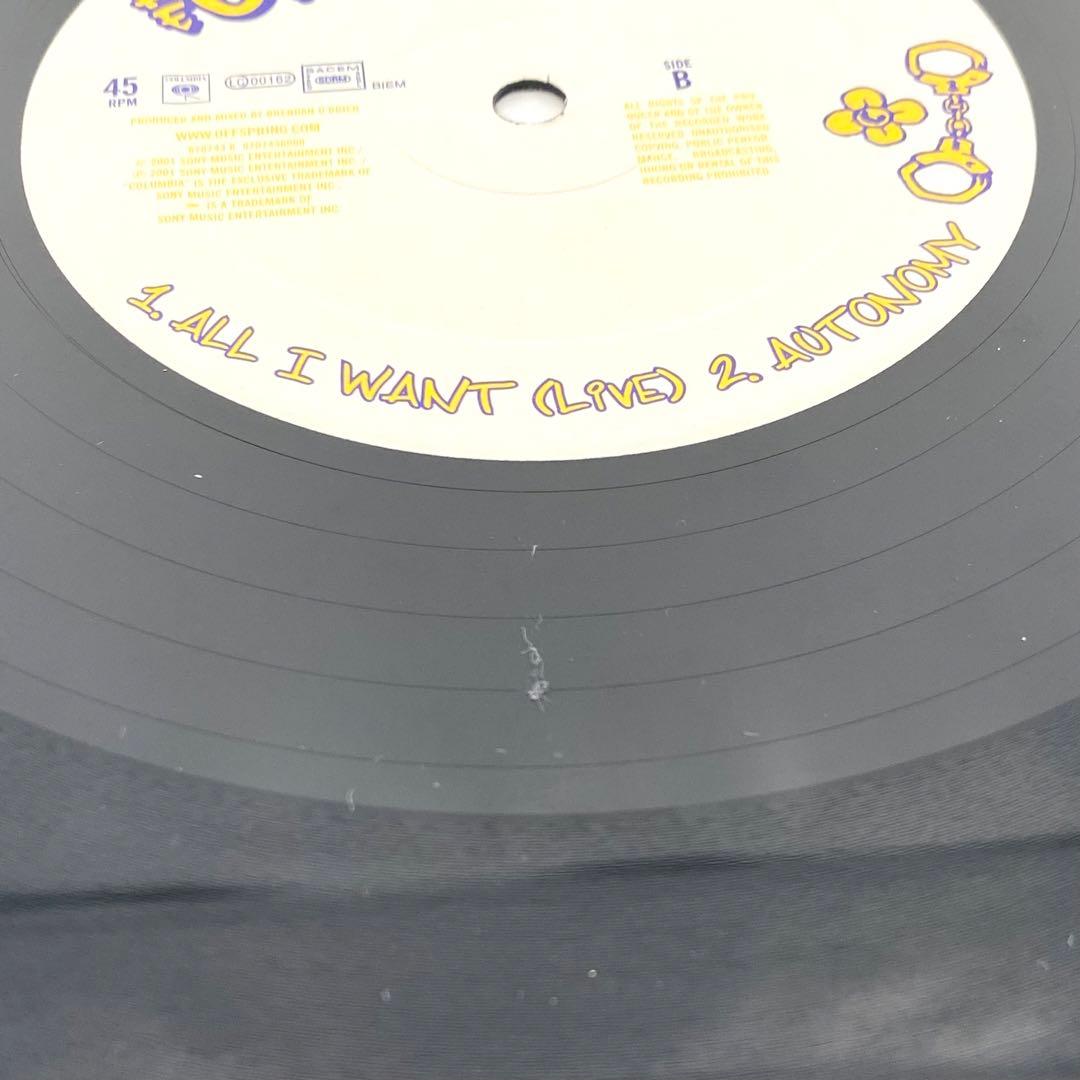 【希少】The Offspring / Want You Bad オフスプリング