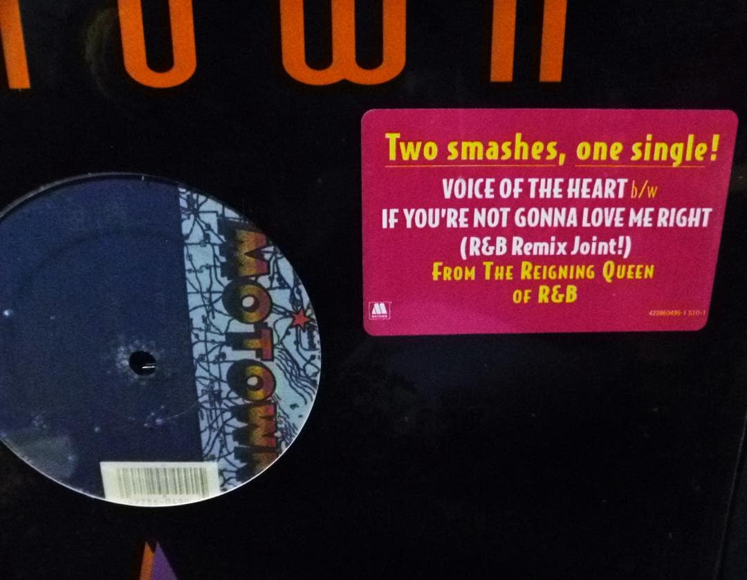 未使用 Diana Ross - Voice Of The Heart
