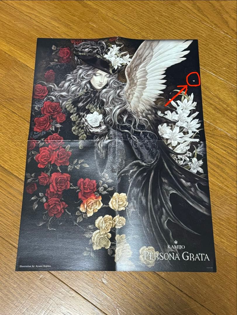 小島文美画集　緋いユリ