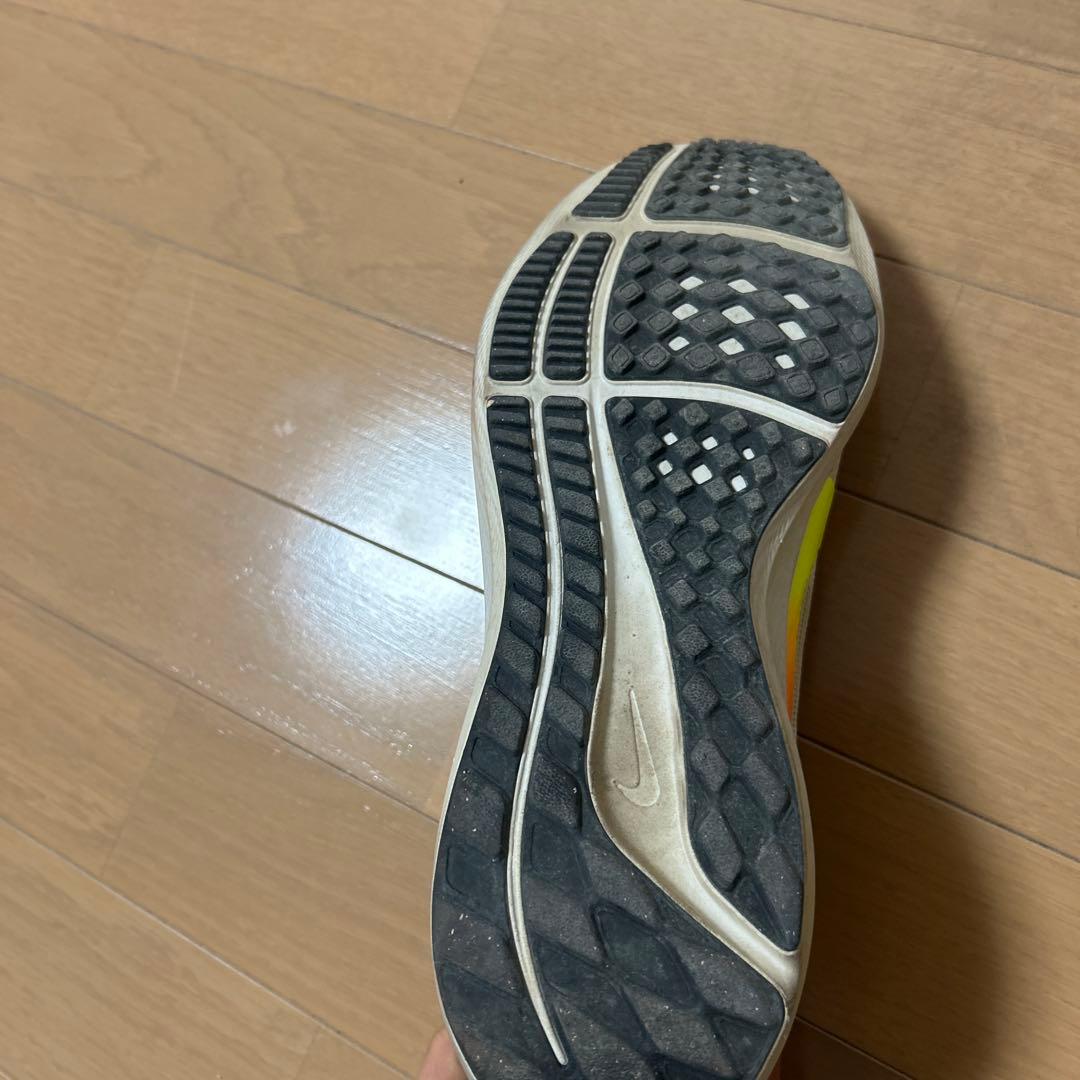 ペガサス40