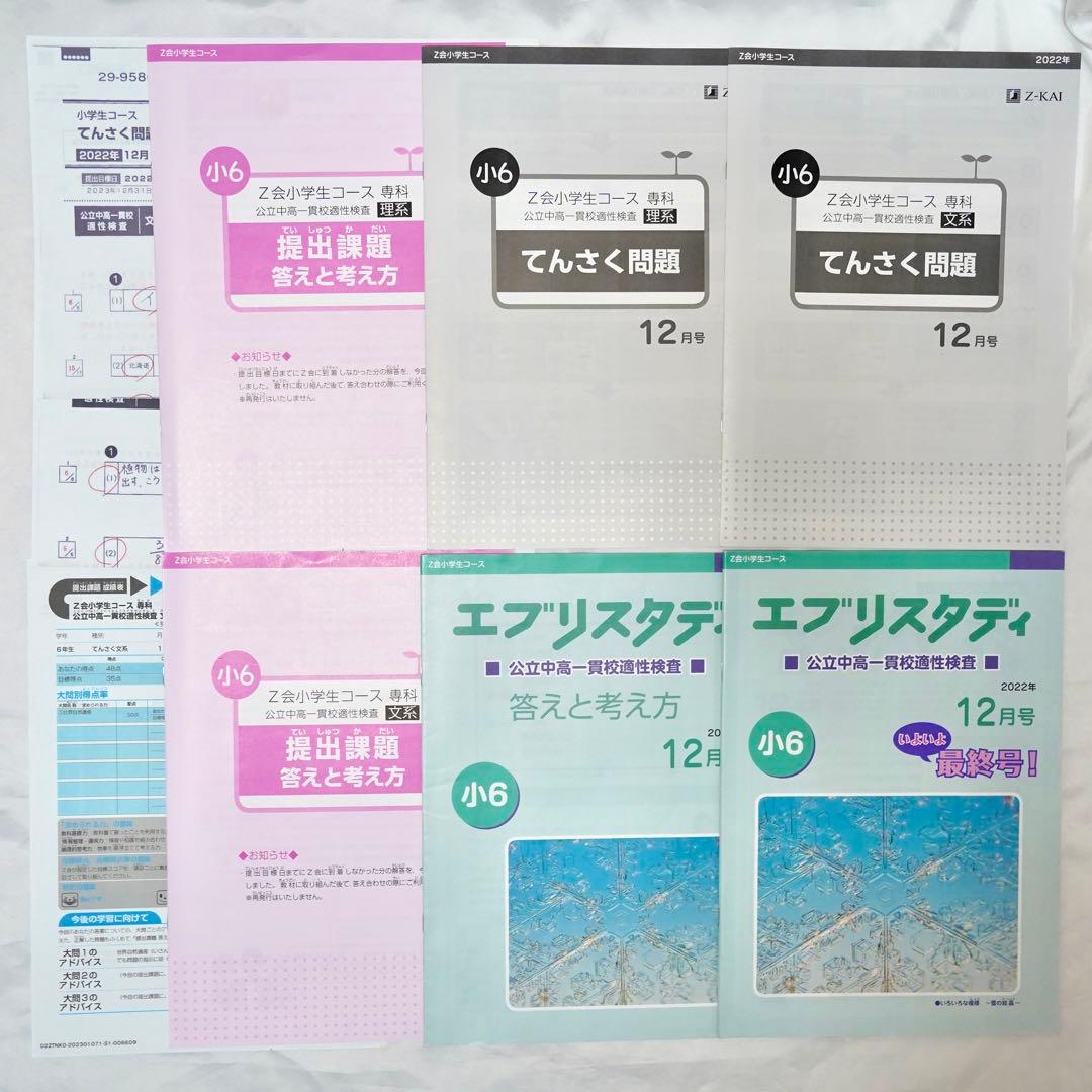 Z会 小6 エブリスタディ 専科　公立中高一貫校 適性検査対策　通年教材セット