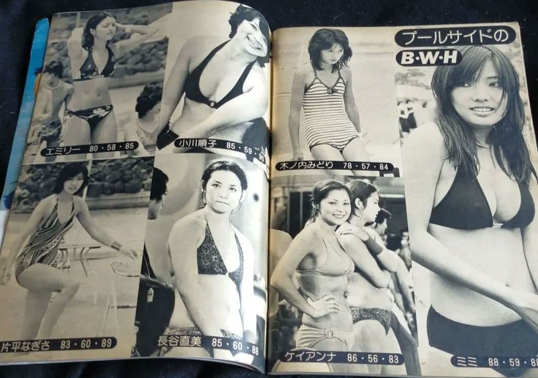 ドンドン DONDON アグネスラム　手塚さとみ　原田美枝子　山本由香利