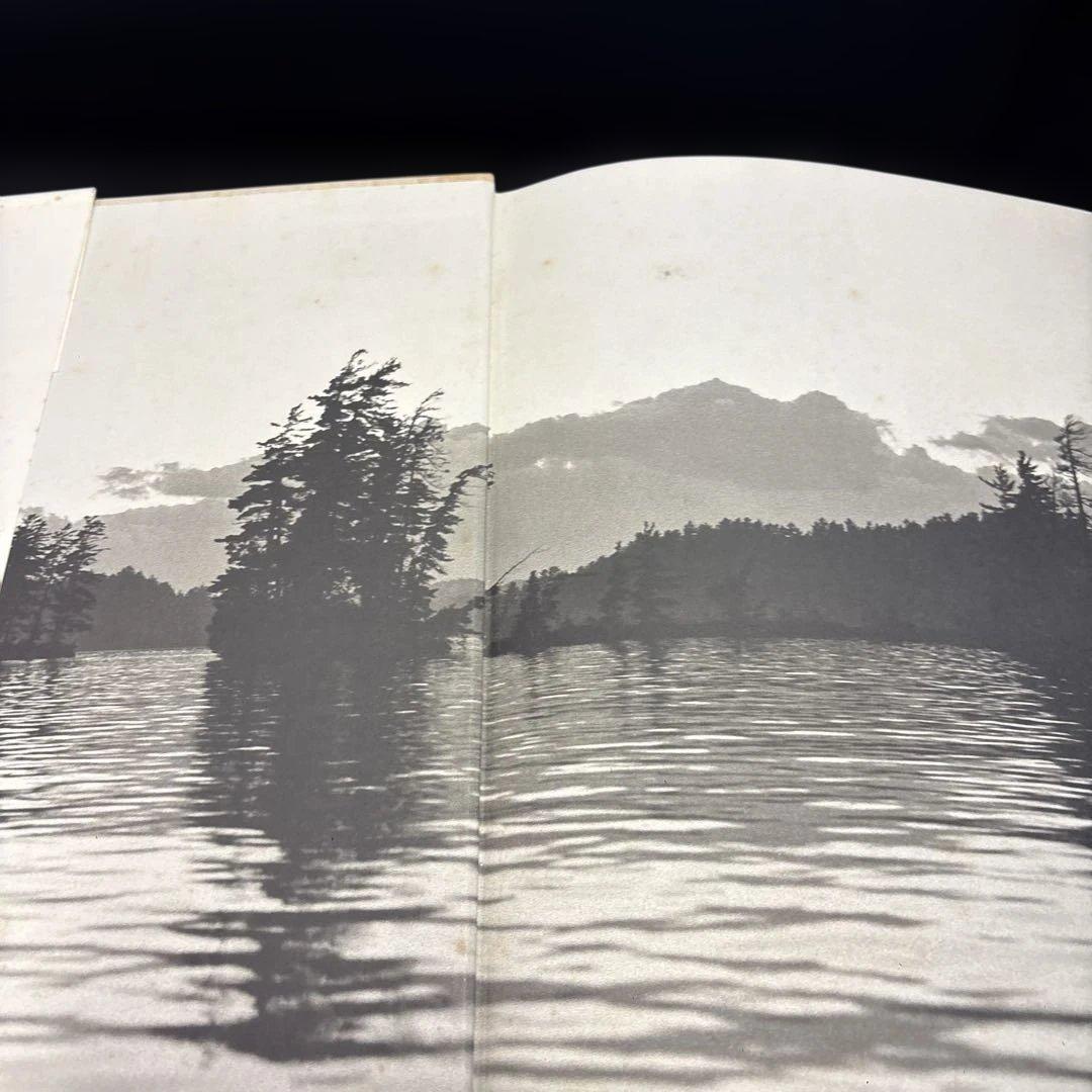 アート・デザイン・音楽 BEAR POND Bruce Weber