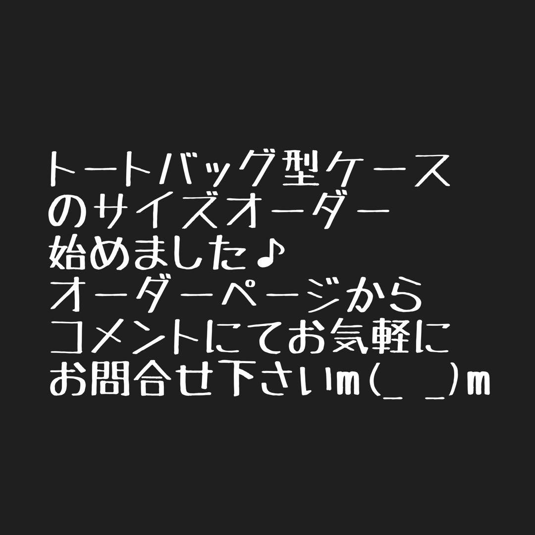 WANTKEY CAMP ウォンキーミニ MINI用&3LEG用ケースセットＥ
