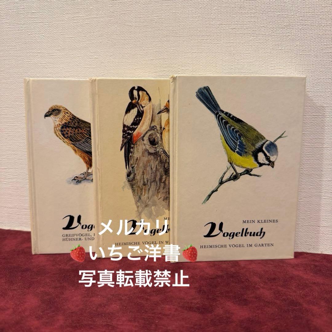 325B②ドイツ語鳥図鑑3冊セット　洋書古書　ジャンクジャーナル　ボタンニカル