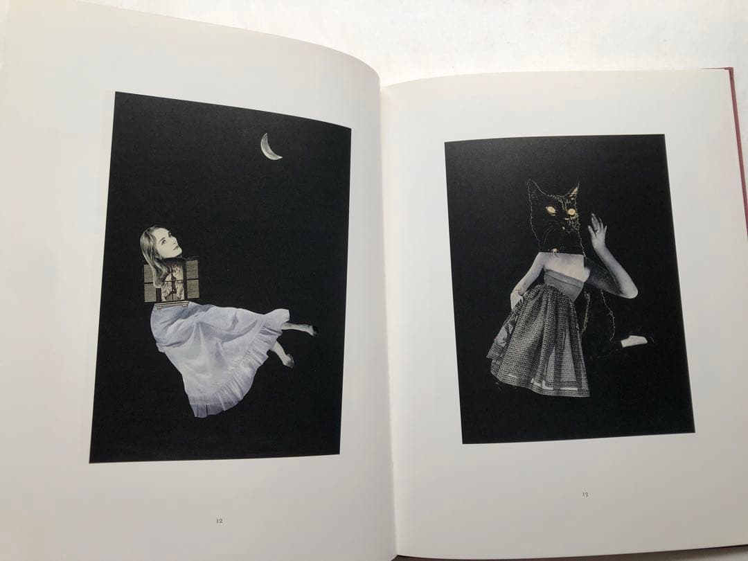 ね*り様 OROP OF DREAMS 洋書　写真集
