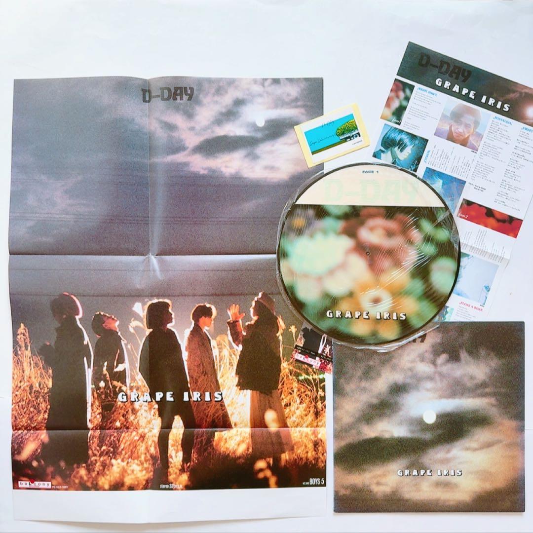 【極美品】D-DAY／GRAPE IRIS　LPレコード　ピクチャーディスク