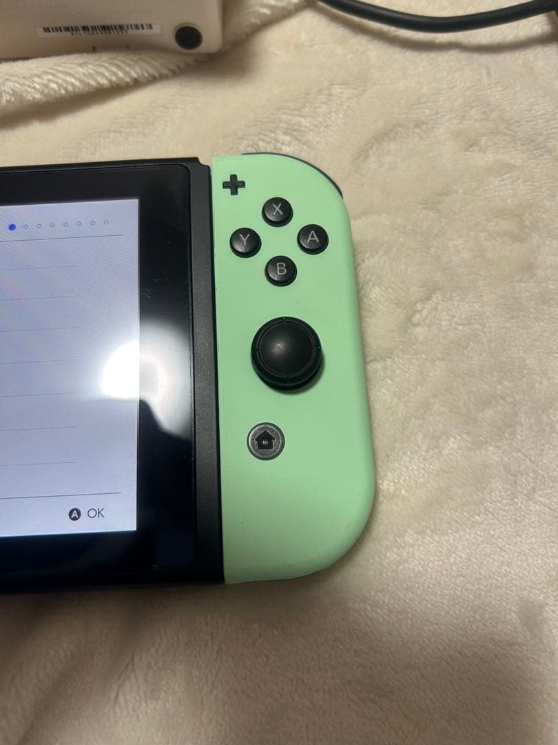 あつまれどうぶつの森 Switch 本体　スイッチ
