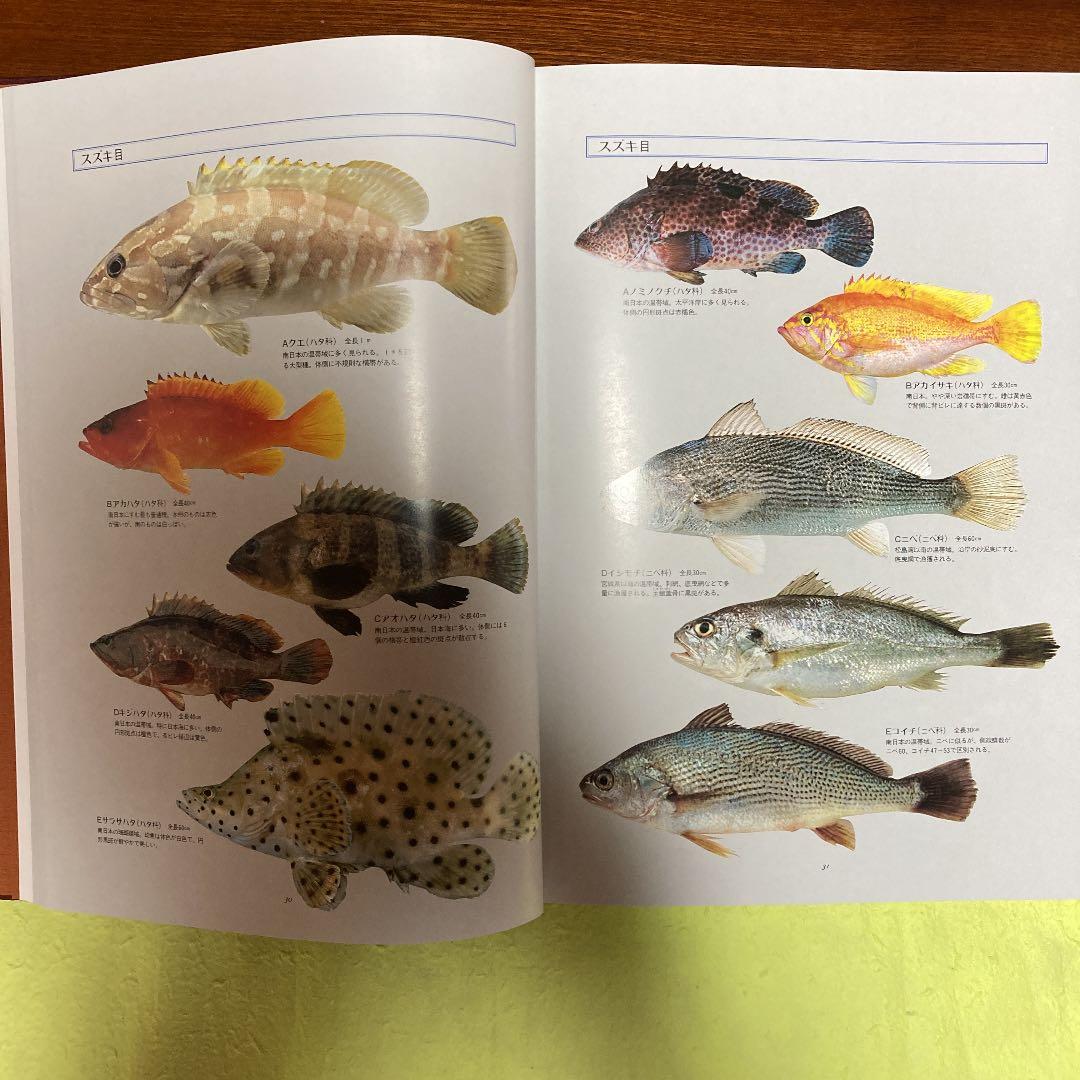 日本料理盛付精撰・日本食用魚介藻大図鑑