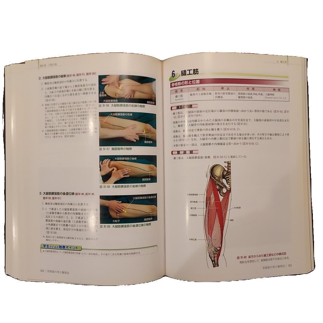 [中古本] 骨格筋の形と触察法