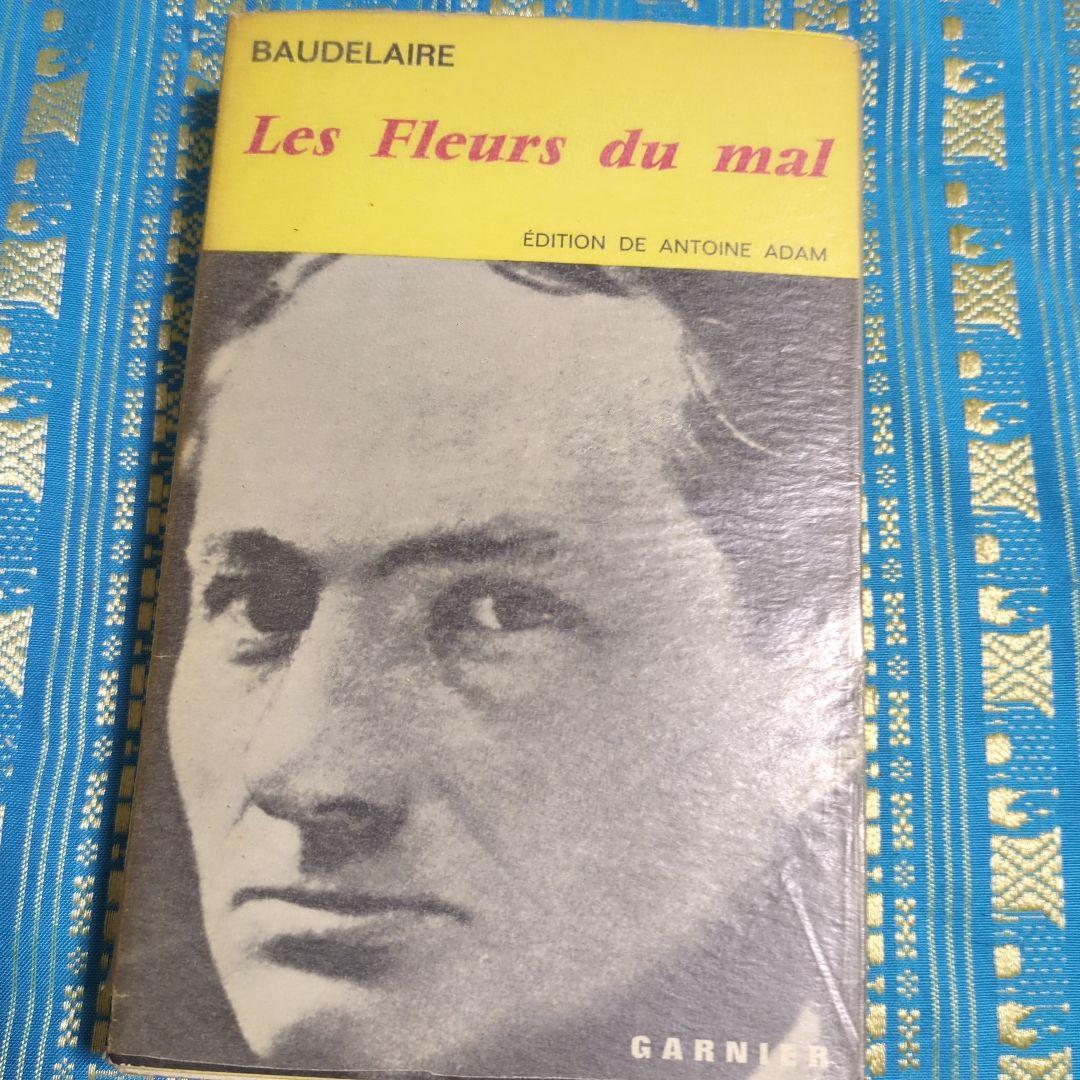 フローベール 古典文学作品集　フランス語
