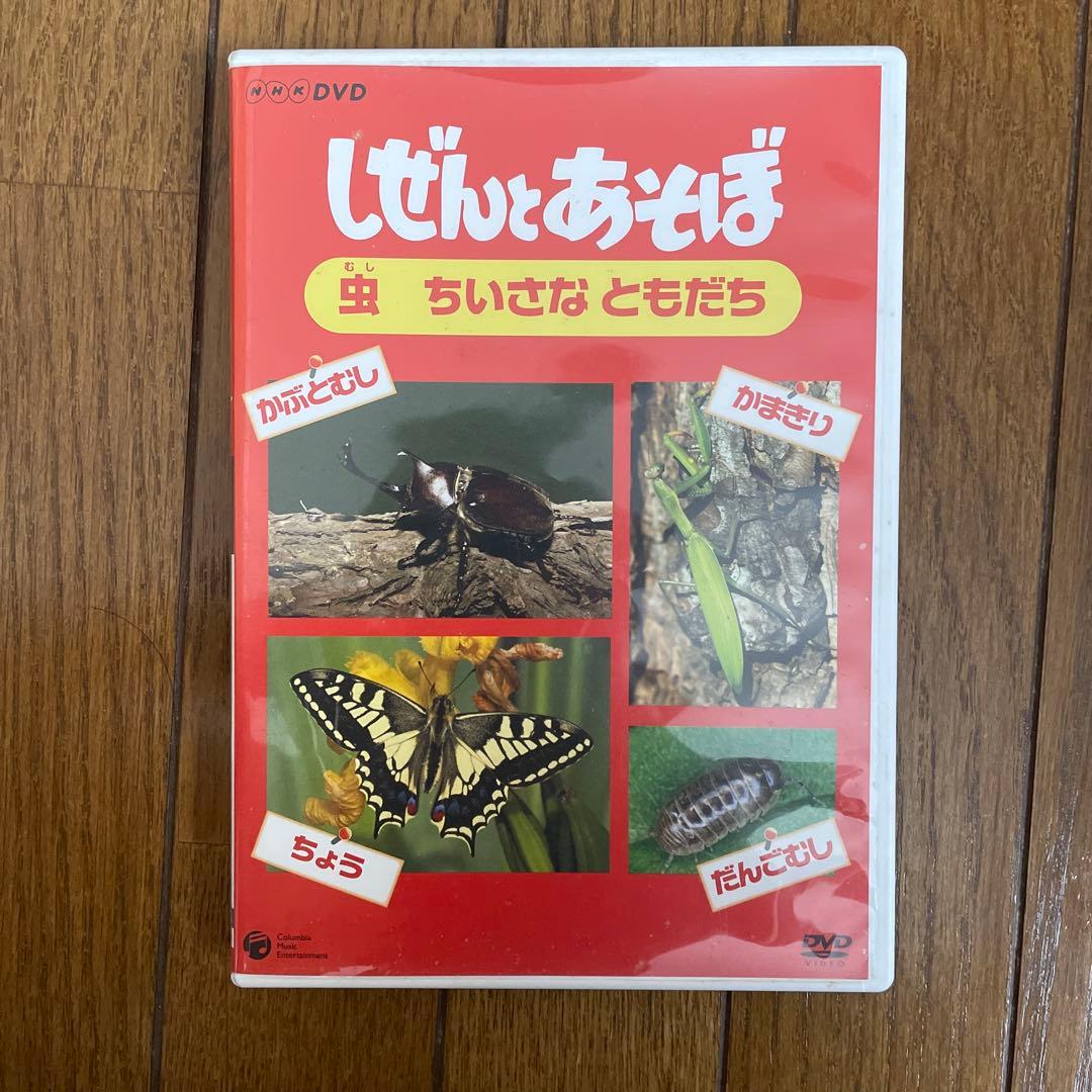 しぜんとあそぼ dvd NHK 虫 教育 教材