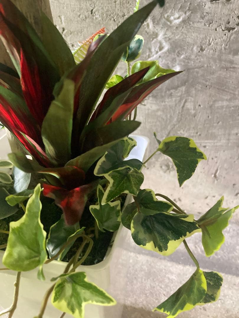 光触媒　人工観葉植物　ウォールグリーン　フェイクグリーン　ベンジャミン11754