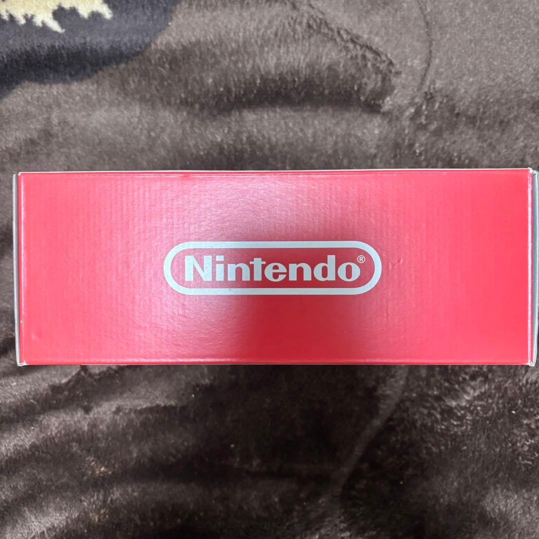 R*A様 Nintendo SwitchLite 本体(ケース、箱付き)