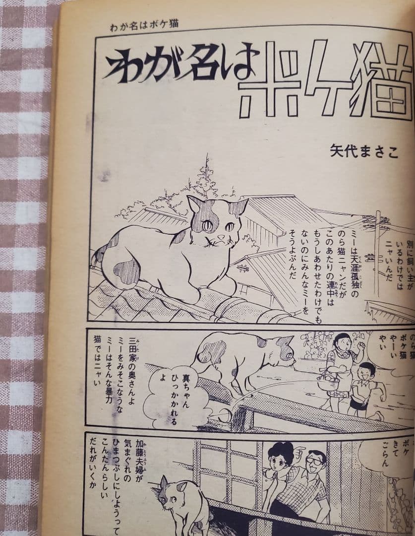 立春セール！ＣＯＭ増刊号「ノアをさがして＊矢代まさこ特集」樹村みのり作品併載