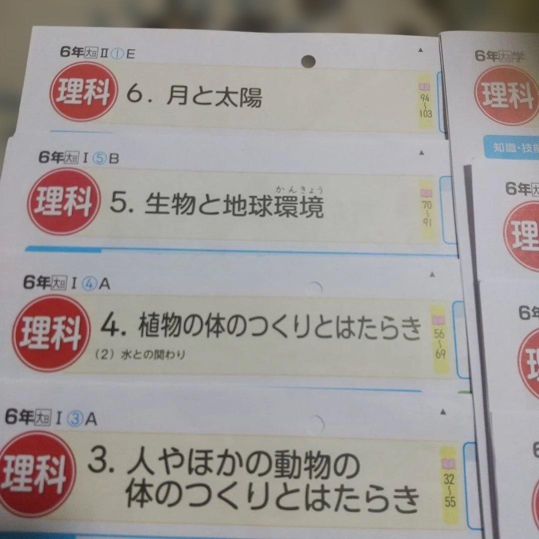 【最新】カラーテスト 小学6年理科 大日本図書